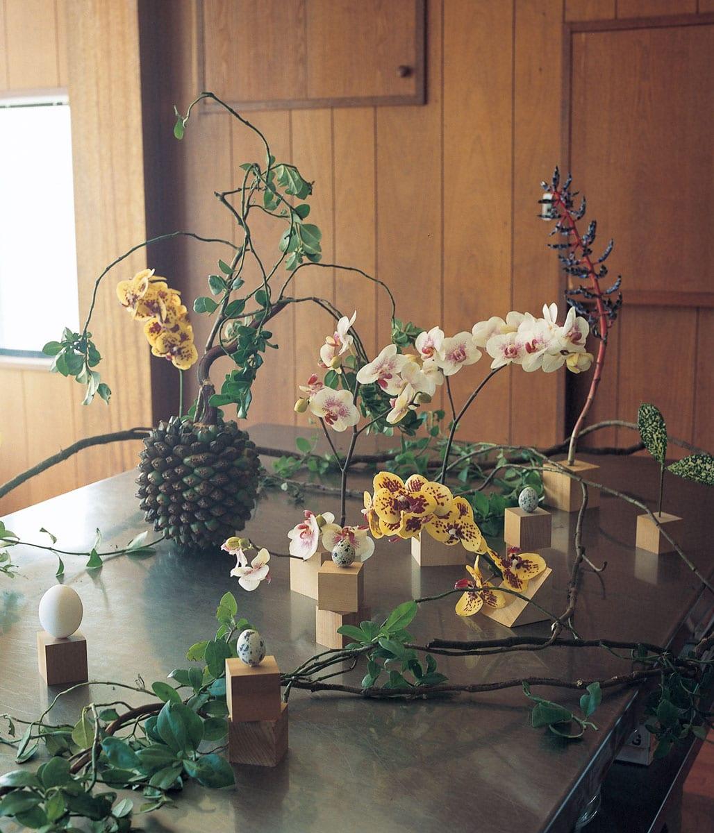 その日の花。vol.3 料理家・山本千織さんへ