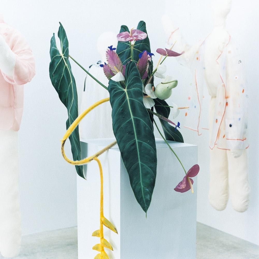 その日の花。vol.7 ギャラリーオーナー・清水ありささんへ