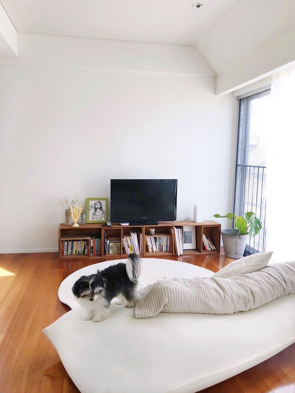 私と部屋　デザイナー　愛犬