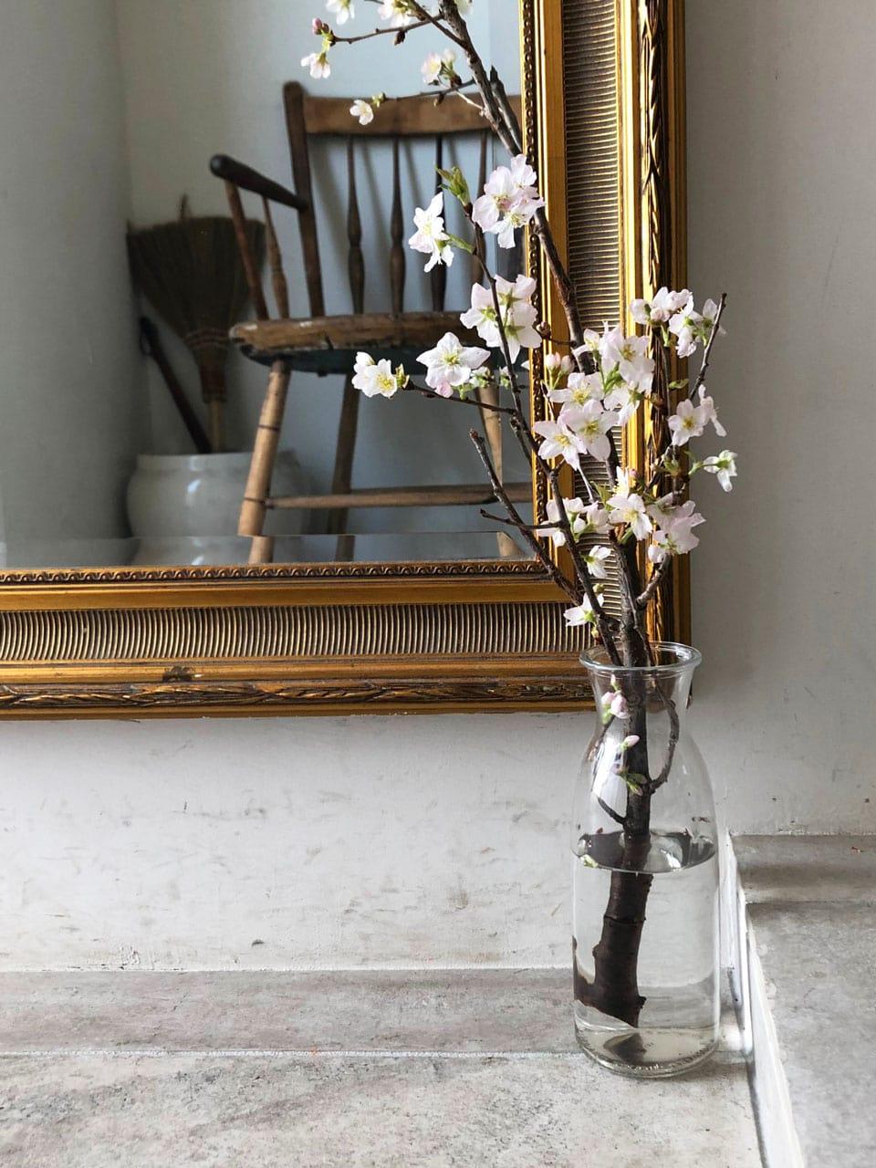 私と部屋　beborn リノベーション　マイホーム