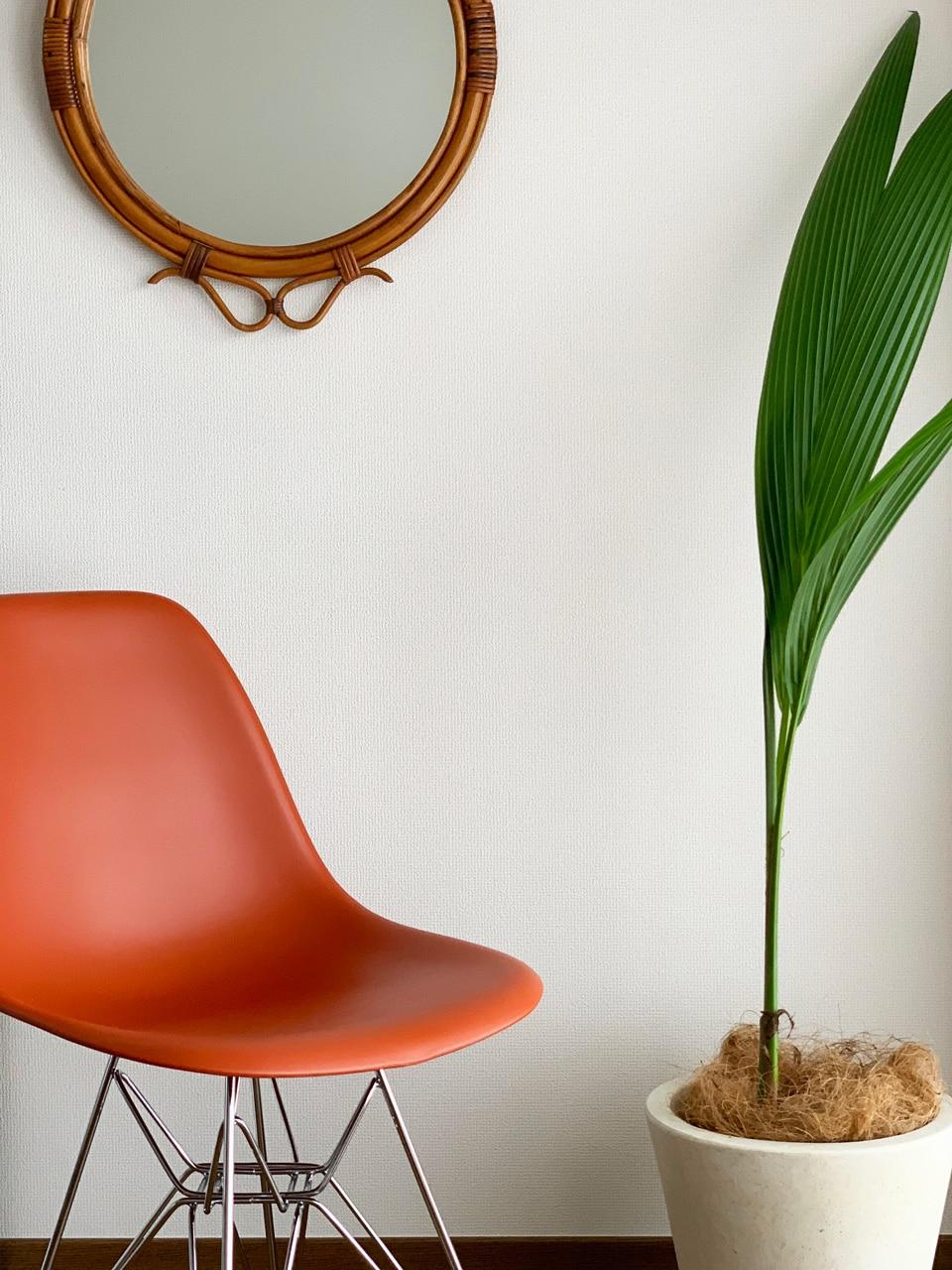 私と部屋　アッシュデザイナー