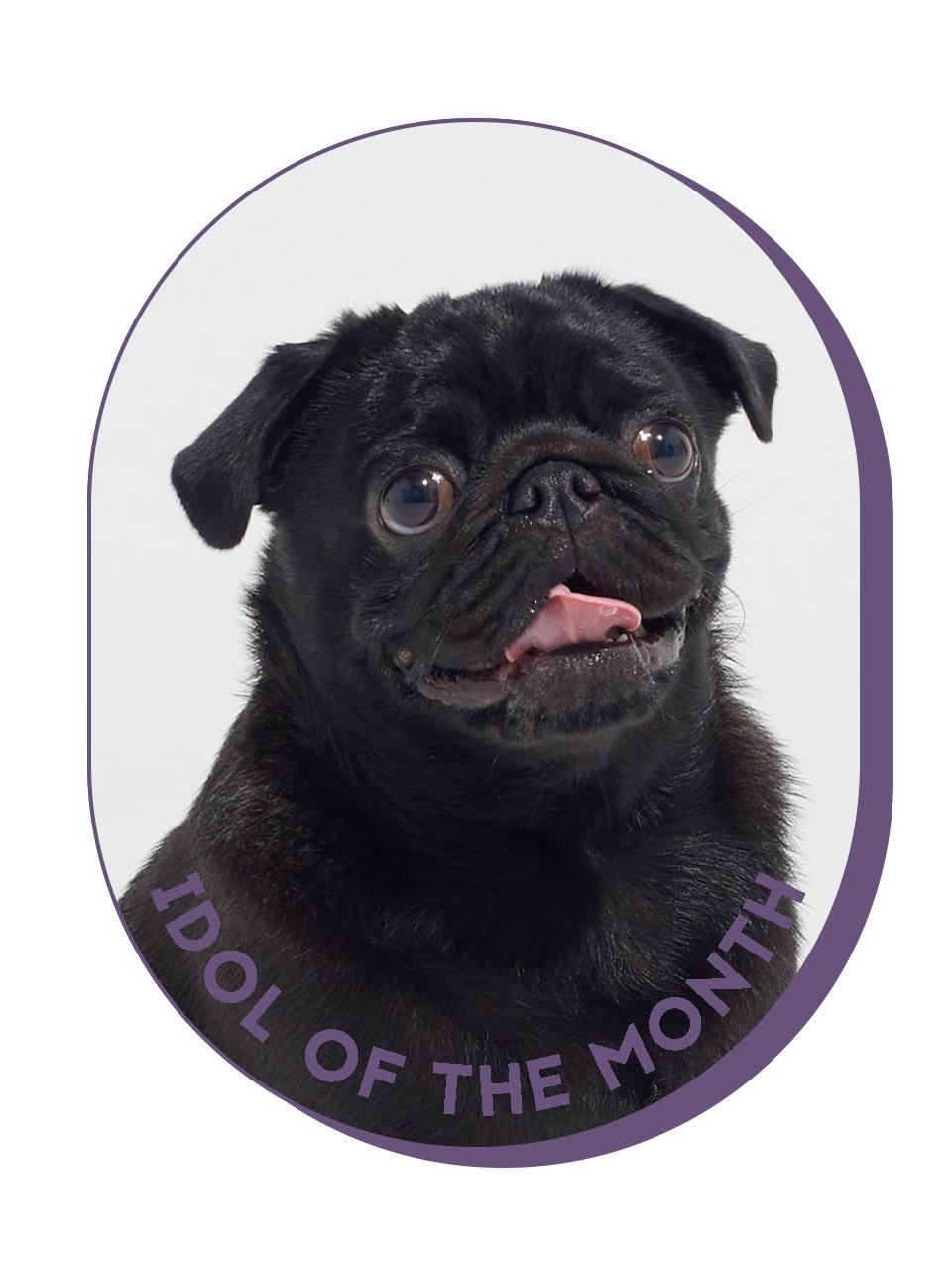 今月のGINZAアイドルに直撃!