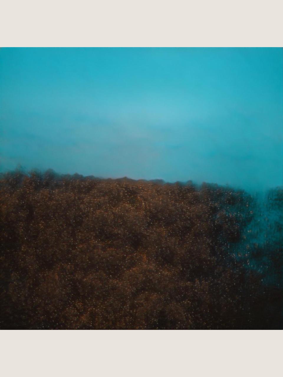 柿本ケンサク『TRANSFORMATION』の作品