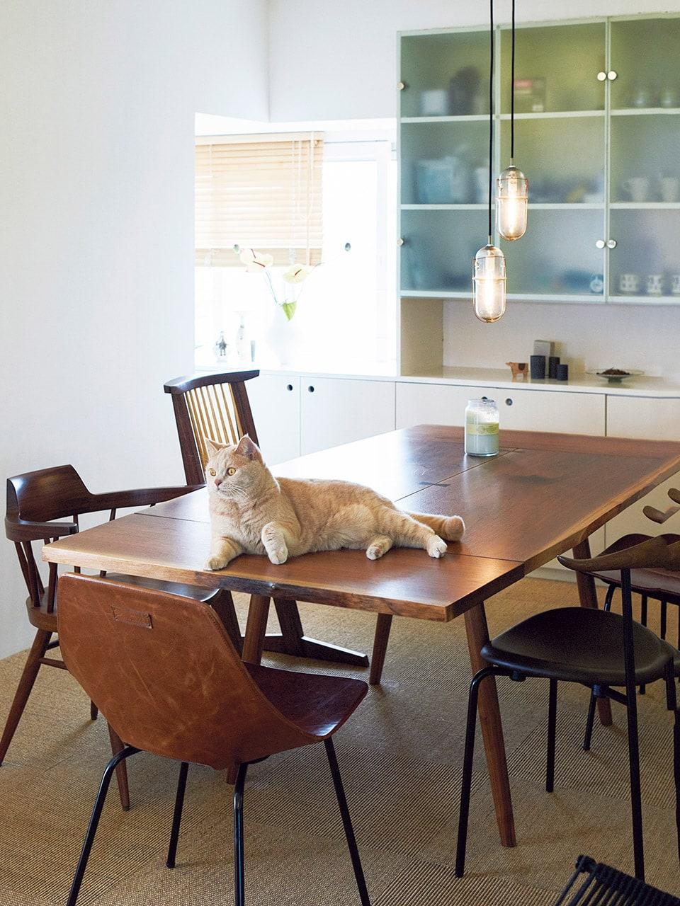 デザイナー・舘 かおり「もの選びの基準は、30年後の自分」|クリエイターたちの快適空間に潜入 vol.4