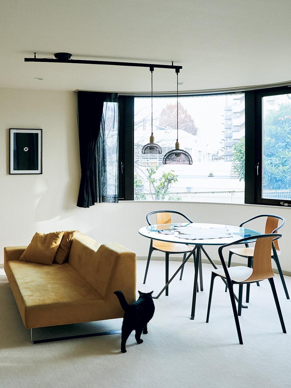 さまざまな“黒”の景色を愛でる|クリエイターたちの快適空間に潜入 vol.4 デザイナー・根本 晶さん