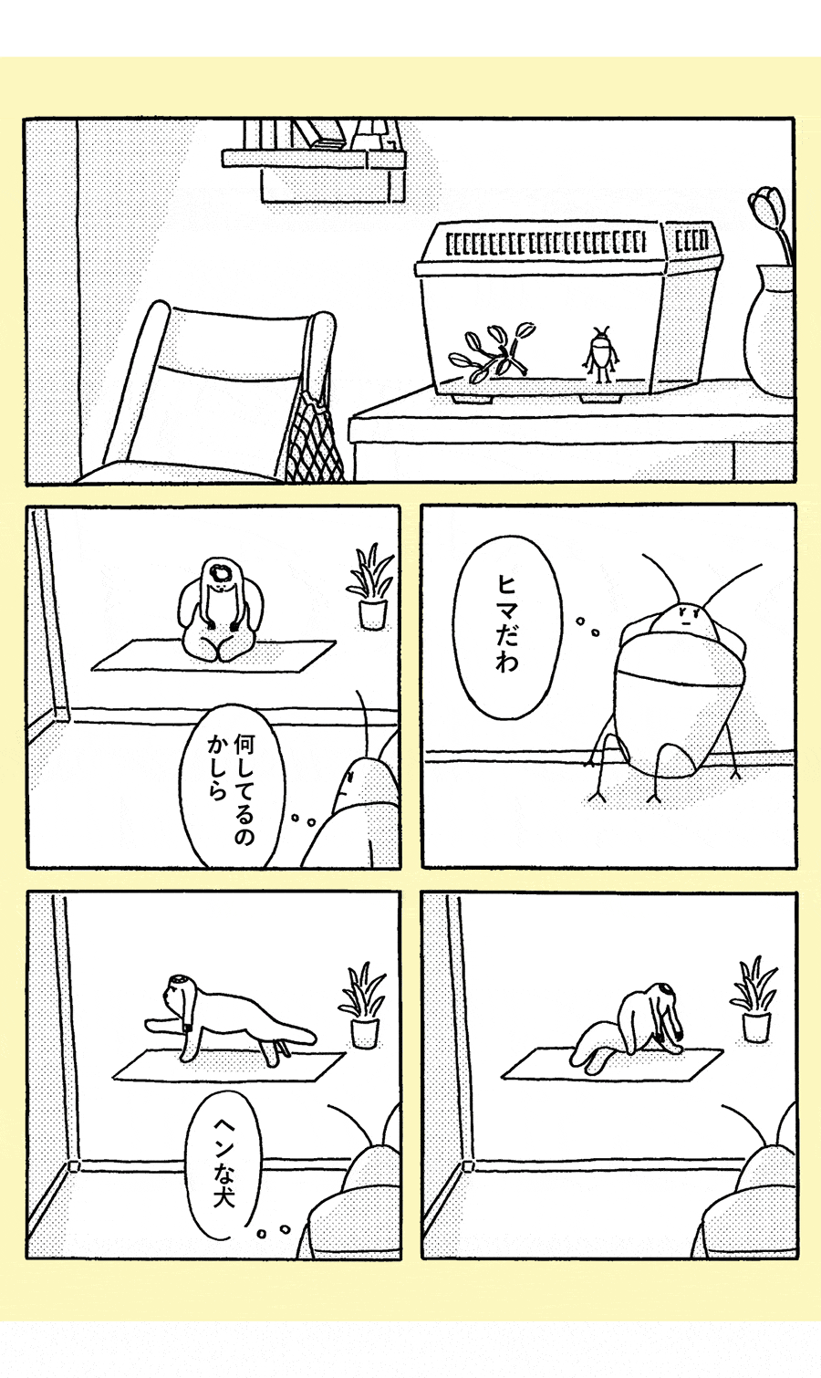 【第3話】 
ペットのカメっちゃん現る。の巻