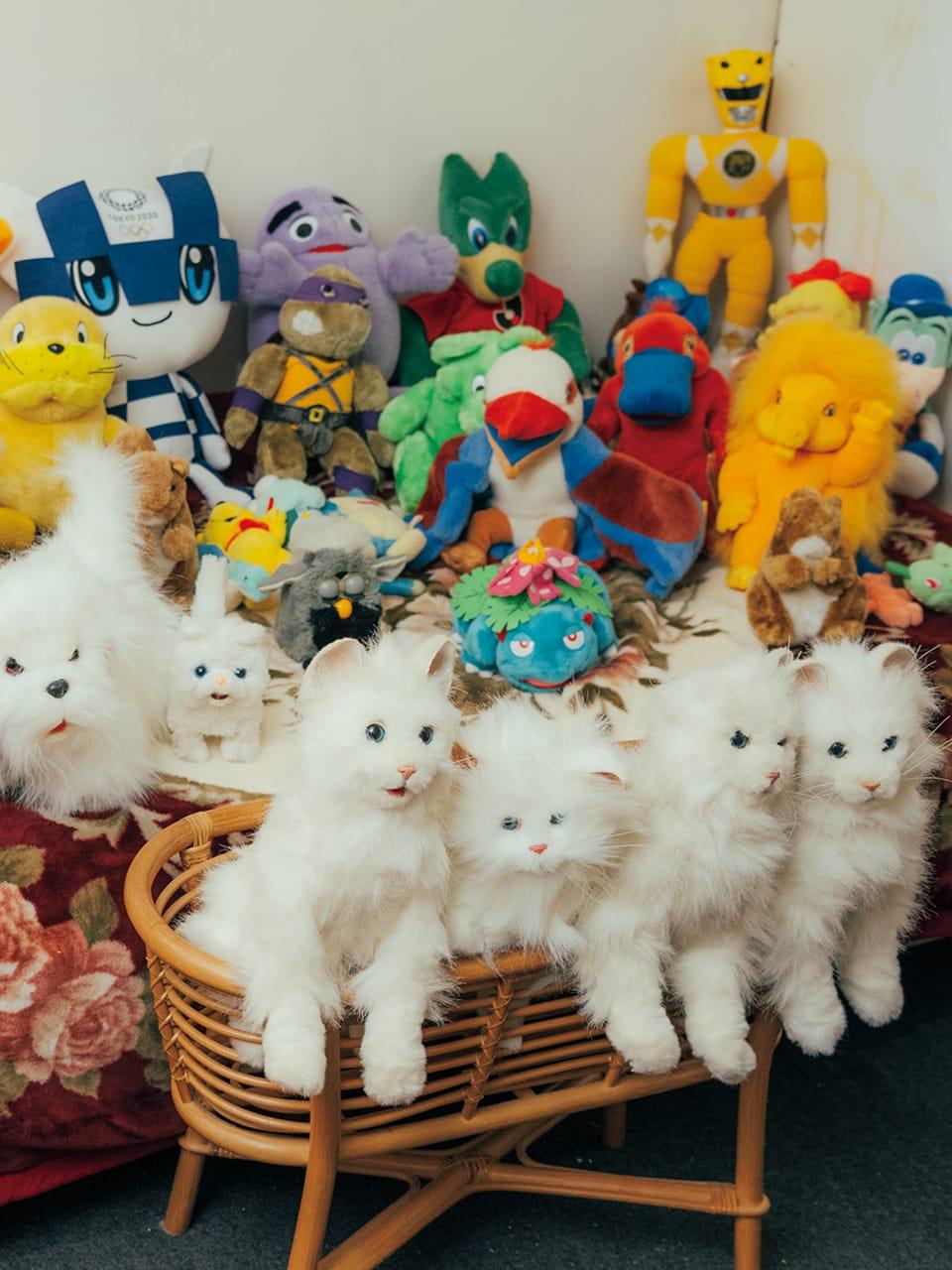 いつだって、ぬいぐるみ推し。生きているような佇まいに夢中!