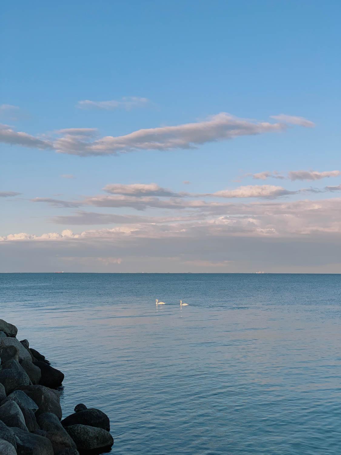 ワインの荷下ろし、ザリガニパーティー、水辺のダンス。