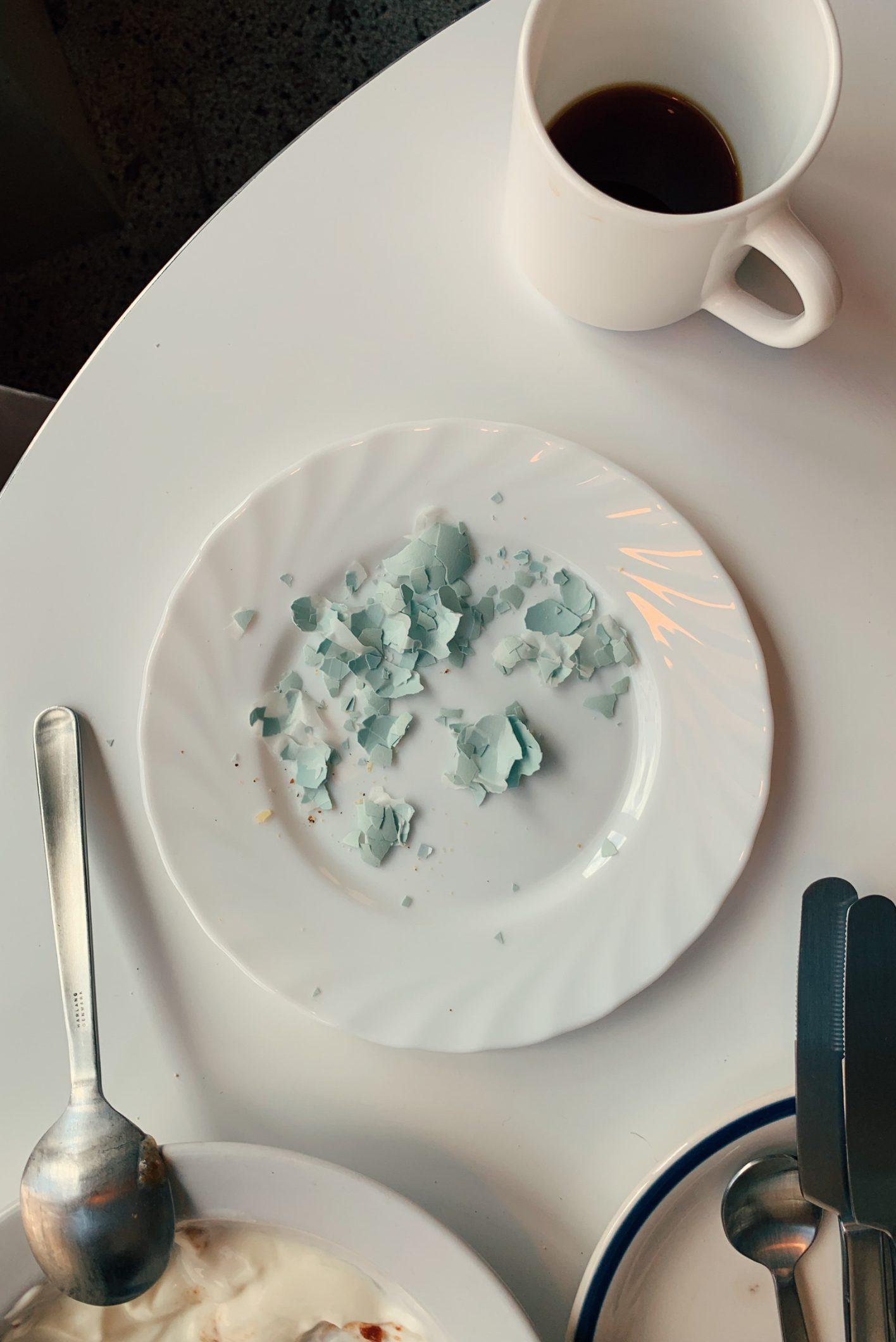 デンマークに引っ越して5年。日常をまとめた初の写真集『fugle』の話。