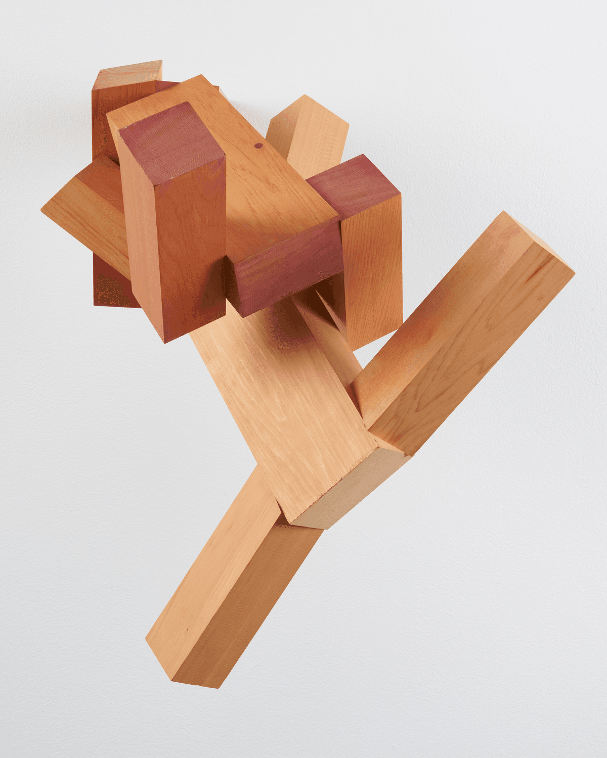 ジョエル・シャピロ