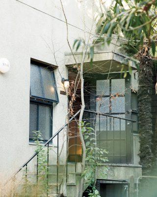 人気の家具ブランドからニューラインが登場