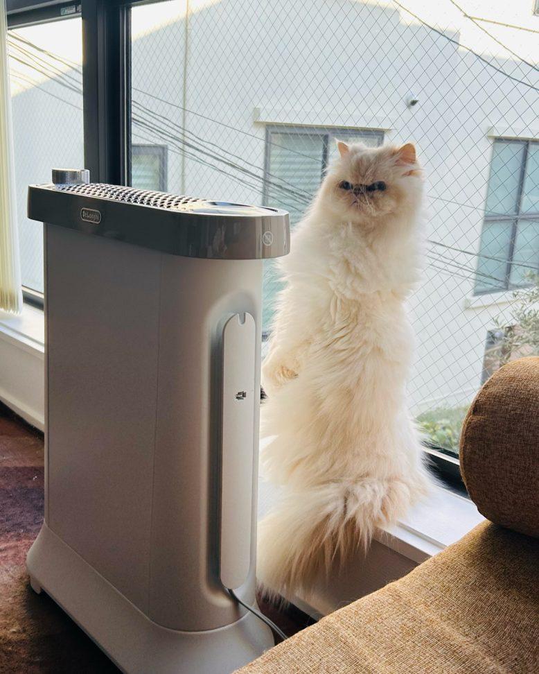 GINZA3月号「やっぱり家が好き!」のこぼれ話