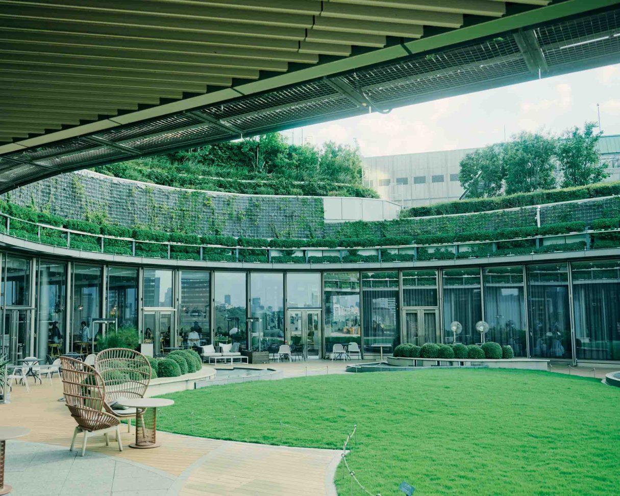 銀座「DRAWING HOUSE OF HIBIYA」東京の森を眺めながら、知られざる日本の味に浸る