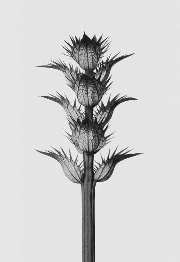 買うのが先か、 相手を見つけるのが先か。ジョナサン・アンダーソンが手がけた香水〈ロエベ〉LOEWE 001が初登場