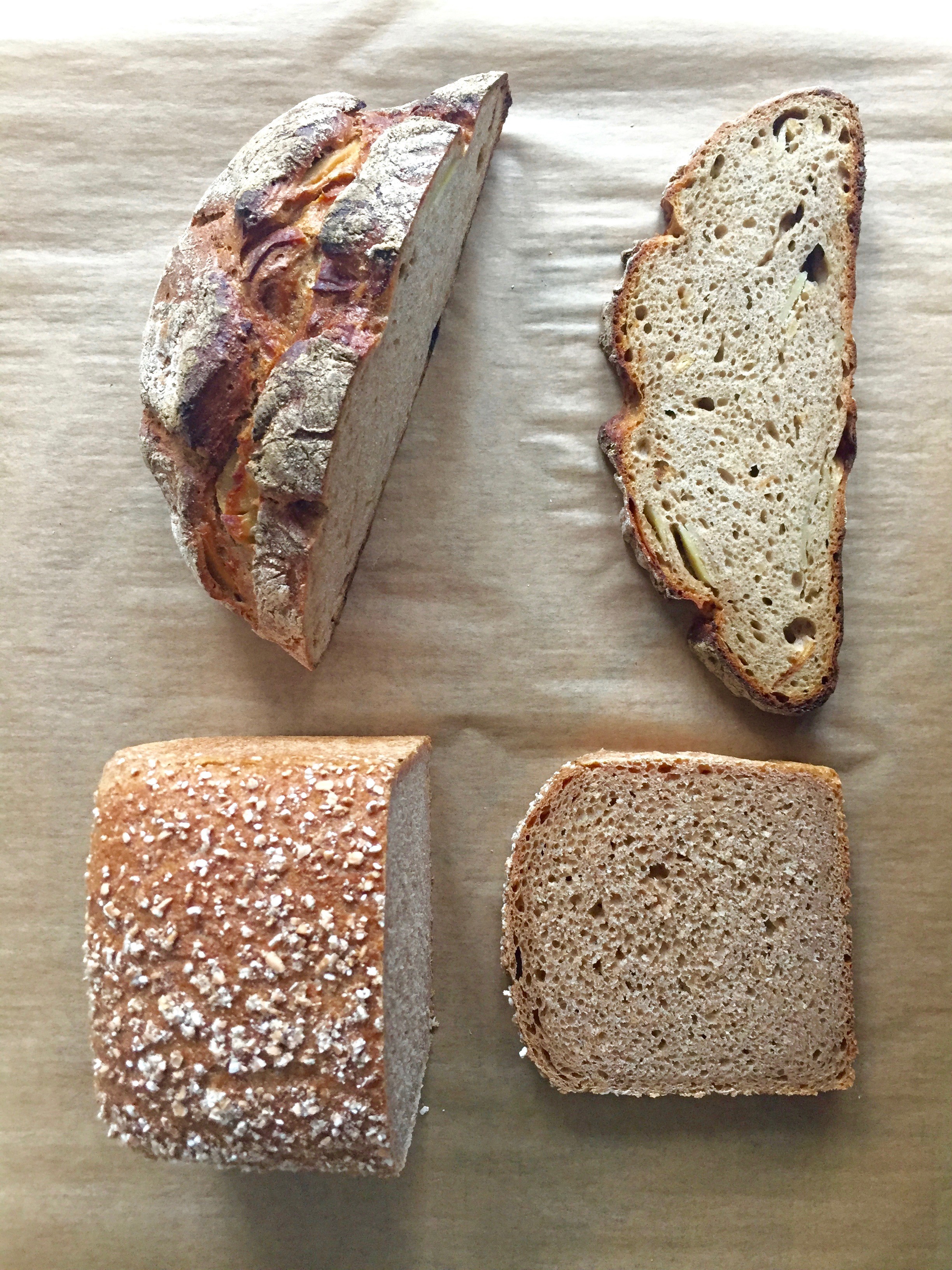 「食事も機能性重視!?  ドイツのパン事情」新米アクティヴィスト・あっこのベルリン・オルタナ通信 #01