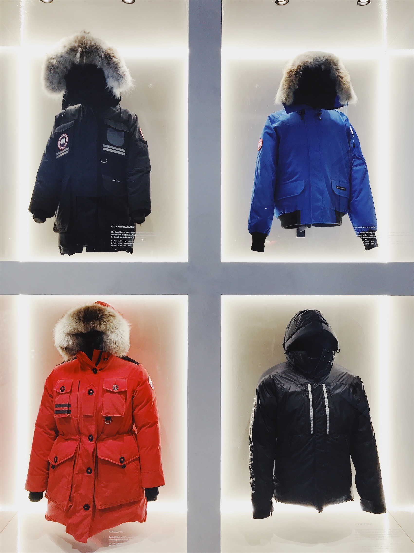 ☆カナダグース☆深まる秋のキラキラを求めて(vol.6)日本初のフラッグシップストアが千駄ヶ谷にオープン