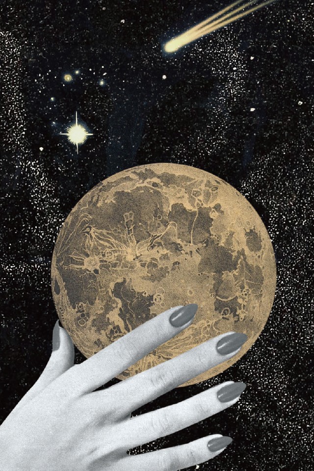 ジョン（犬）　タロット占い　GINZA