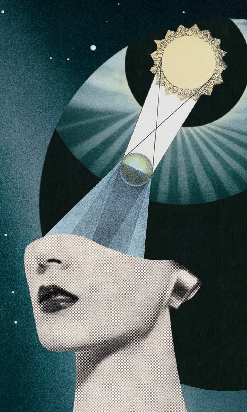 2018年下半期の運勢まるごと！JON（犬）のタロットリーディング