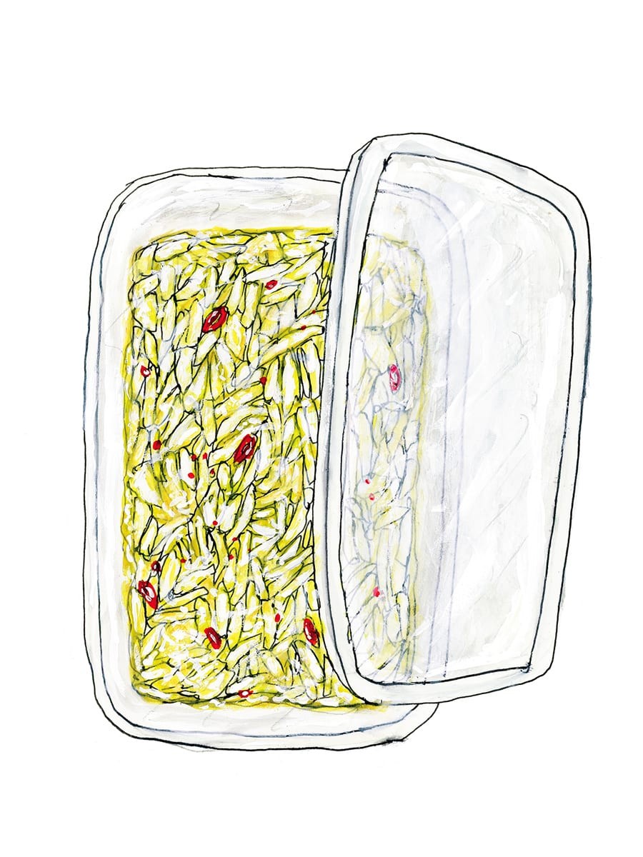 ザワークラウトのイラスト