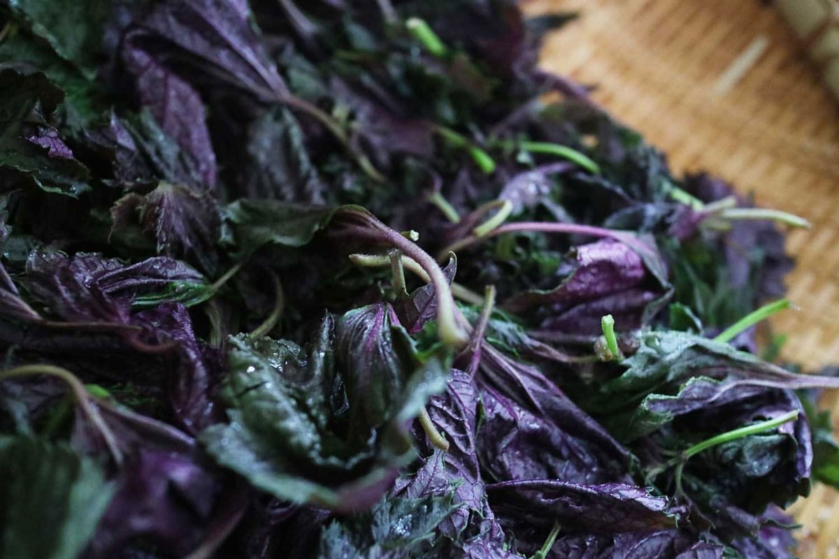 しそジュースの作りかた その1 - Slide:1