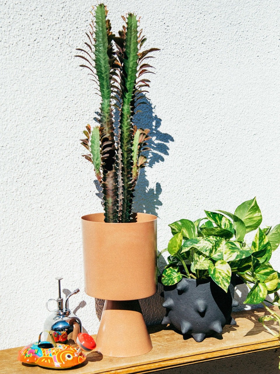 メルボルンの植物男子THE PLANT SOCIETYがレクチャー