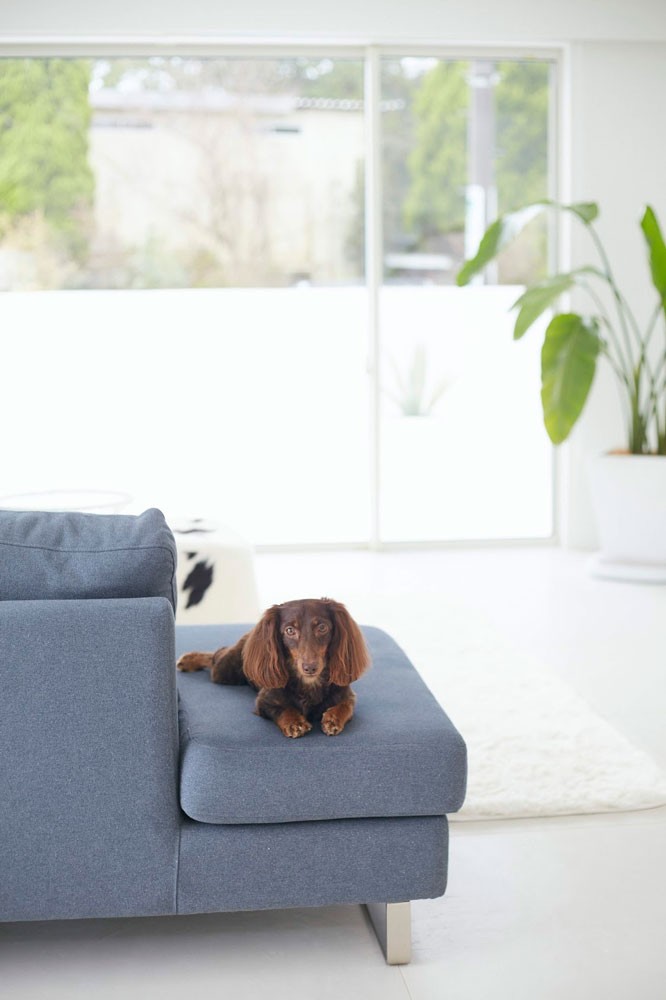 私と部屋 vol.33 内も外もホワイトで統一。暮らしと趣味とインテリアを楽しめる白い家 ー牧野理衣さん - Slide:4