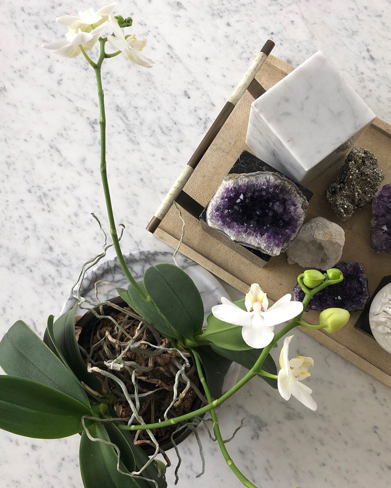 私と部屋 ジュエリー FIVE THIRTY PARK 愛猫 デザイナー - Slide:12