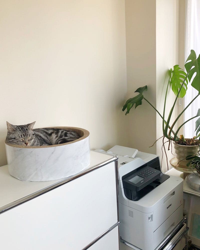 私と部屋 ジュエリー FIVE THIRTY PARK 愛猫 デザイナー - Slide:9