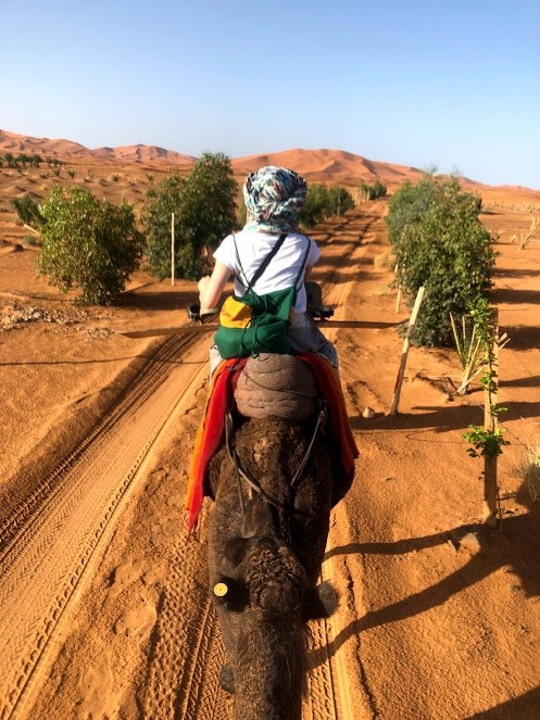 砂漠の景色 - Slide:13