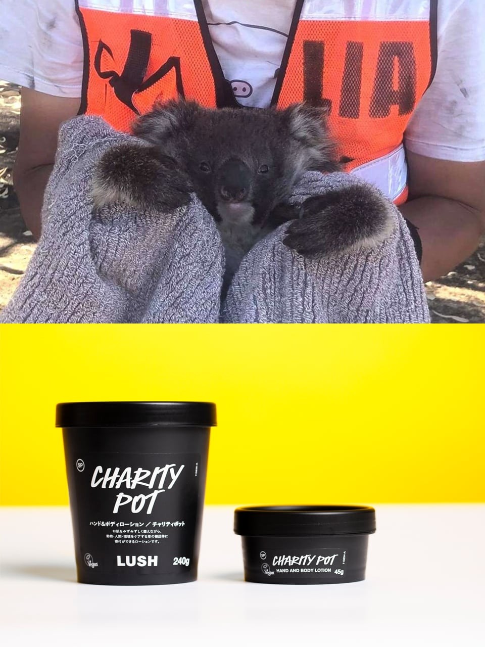 LUSH チャリティーイベント