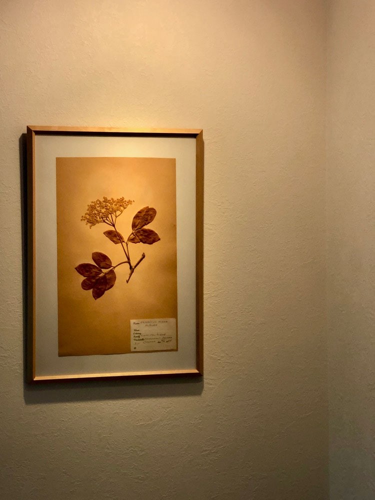 私と部屋 植物 ガーデニング ラグ - Slide:7