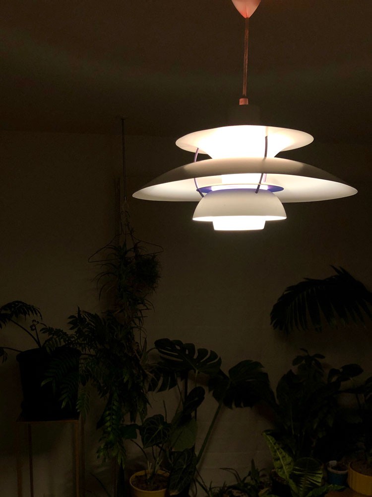 私と部屋 植物 ガーデニング ラグ - Slide:4