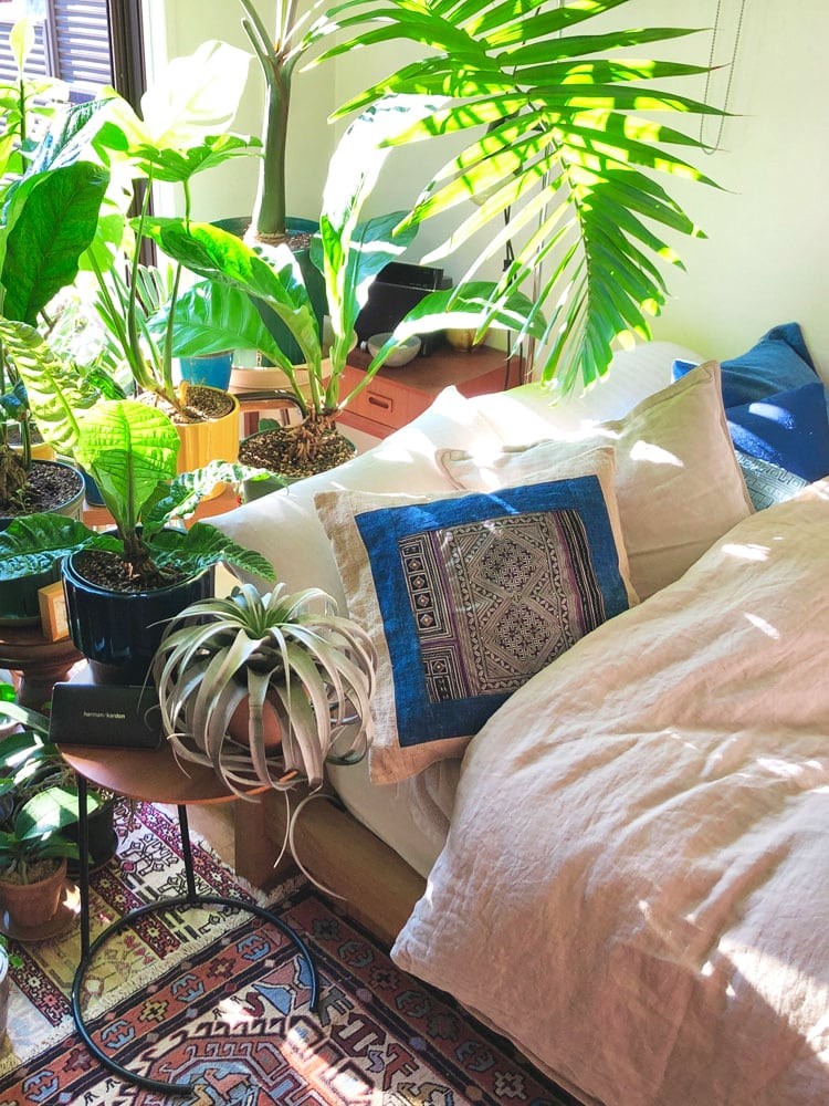 私と部屋 植物 ガーデニング ラグ - Slide:1