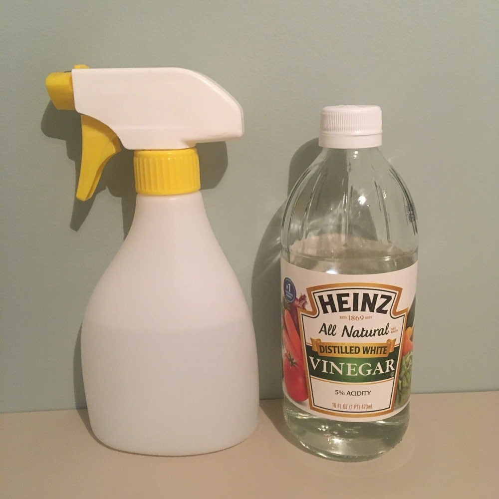 サステナブルライフへの道! - Slide:2