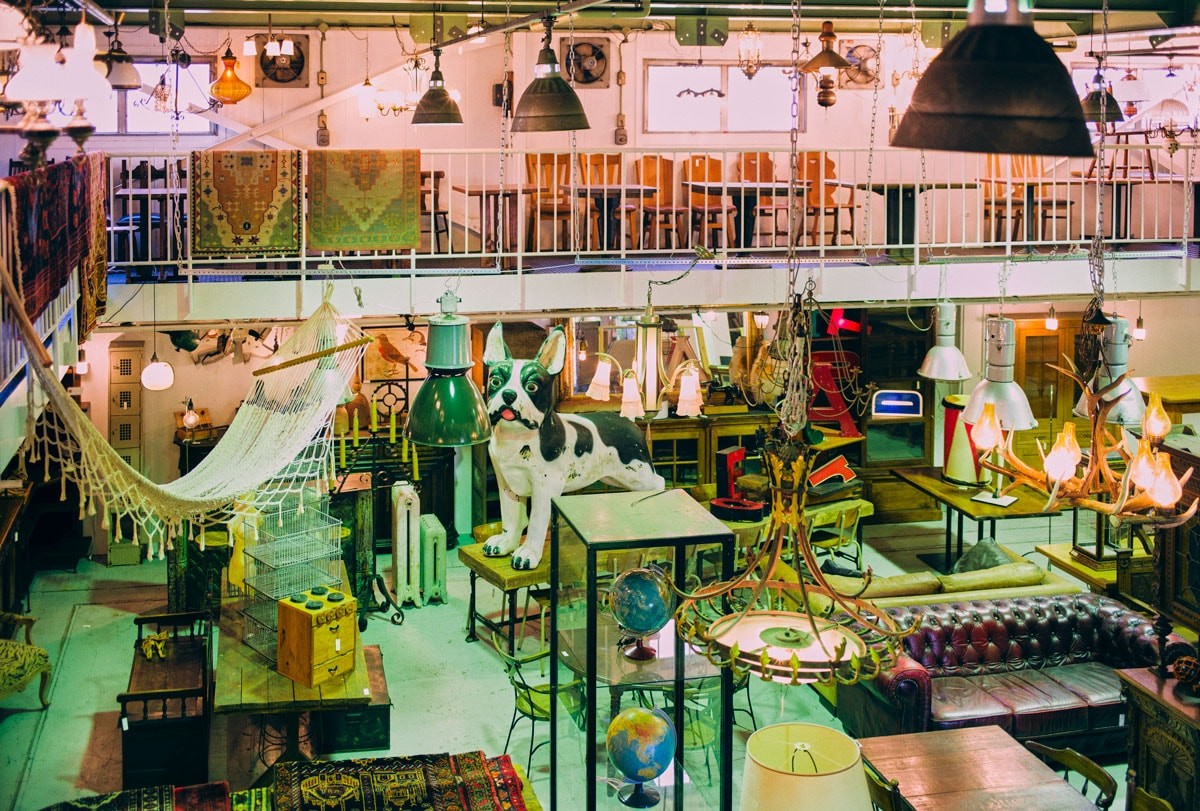 SHARK-ATTACK-LAND - Slide:5