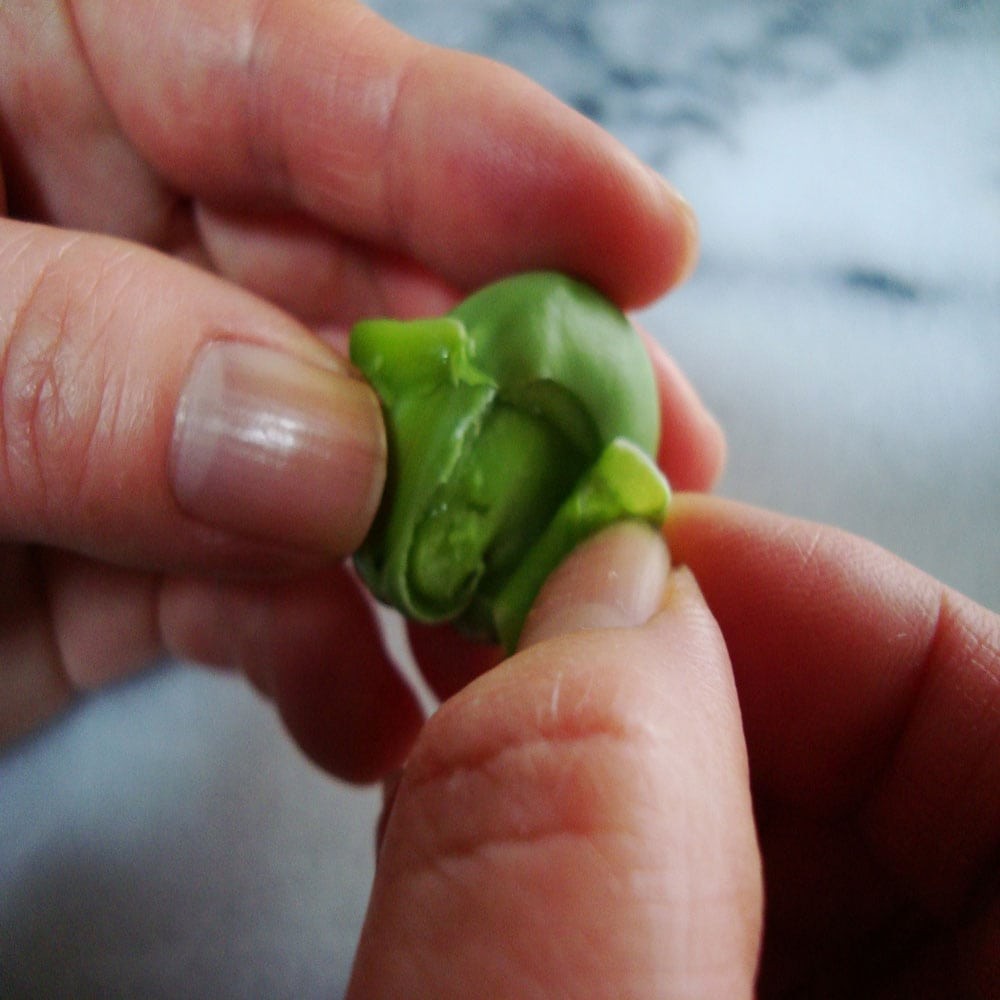 5分めし　ホタルイカ　春レシピ - Slide:3