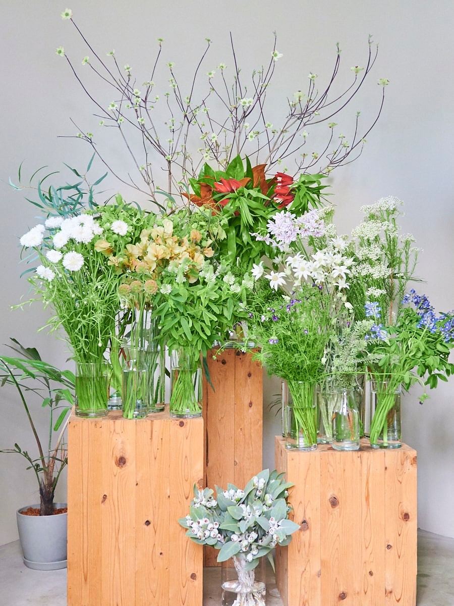 東京の花屋 幡ヶ谷「Forager」