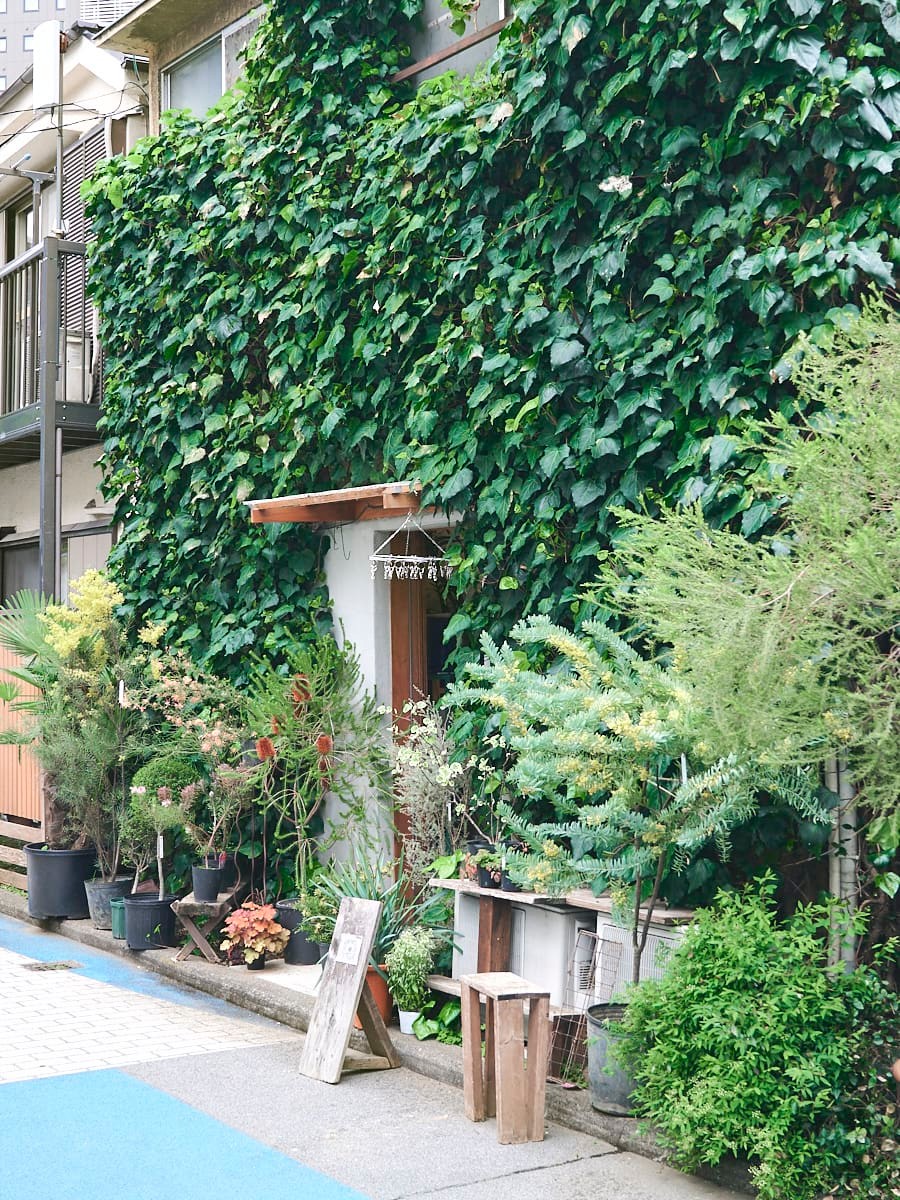 東京の花屋 西新宿「ハナミドリ」 - Slide:4