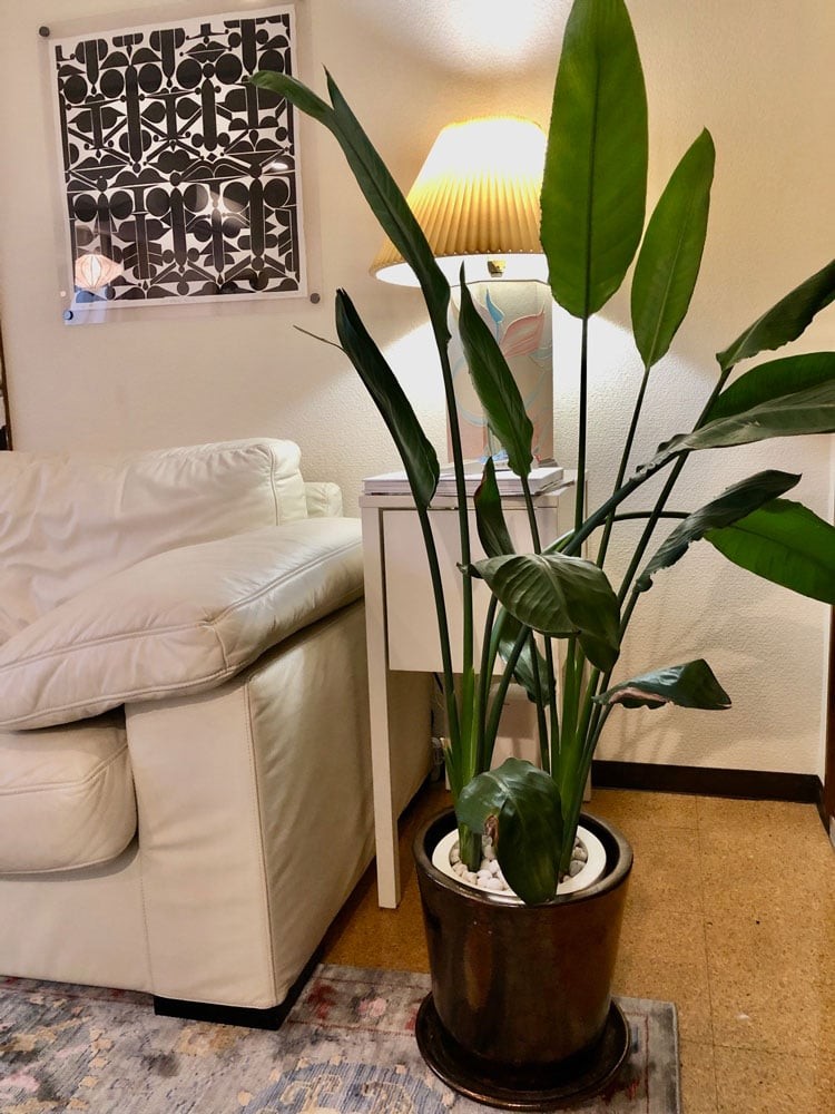 私と部屋　アート　スタイリスト　椅子　インテリア - Slide:3