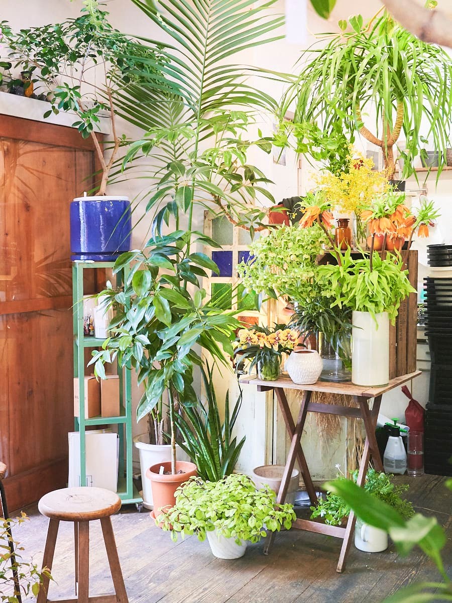 東京の花屋 西新宿「ハナミドリ」 - Slide:5