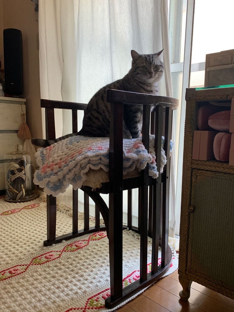 私と部屋　愛猫 - Slide:9