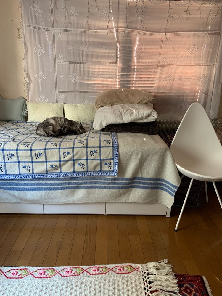 私と部屋　愛猫 - Slide:2