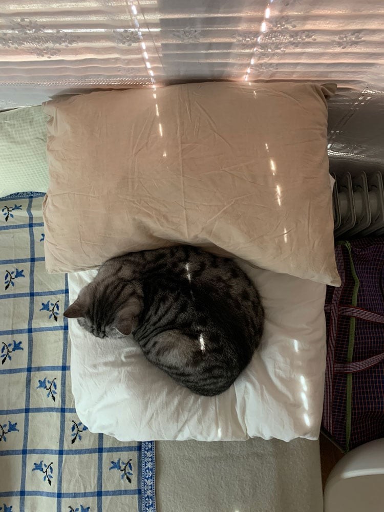 私と部屋　愛猫 - Slide:3