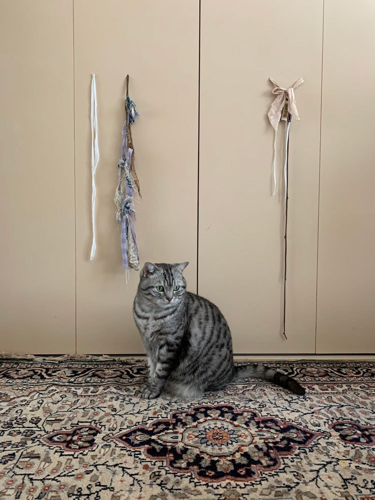 私と部屋　愛猫 - Slide:6