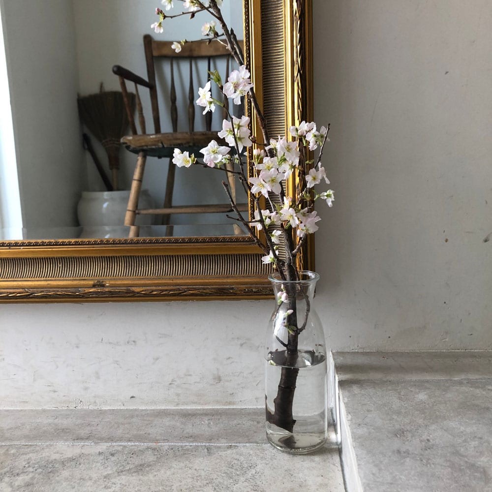 私と部屋　beborn リノベーション　マイホーム - Slide:7