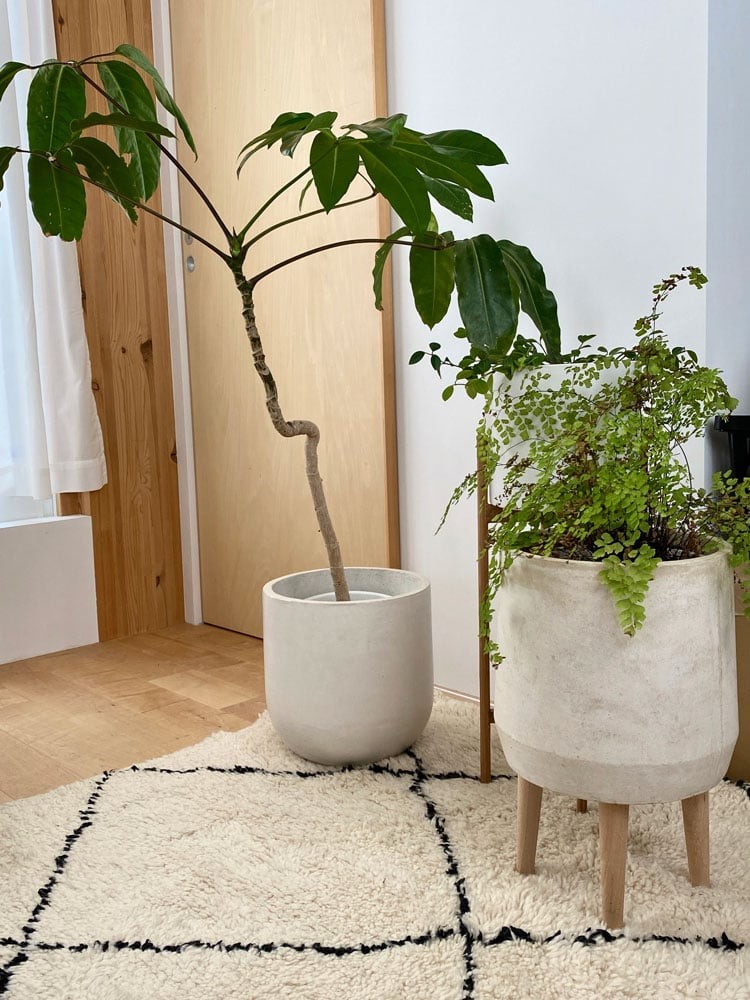 私と部屋　アート　緑　椅子 - Slide:9