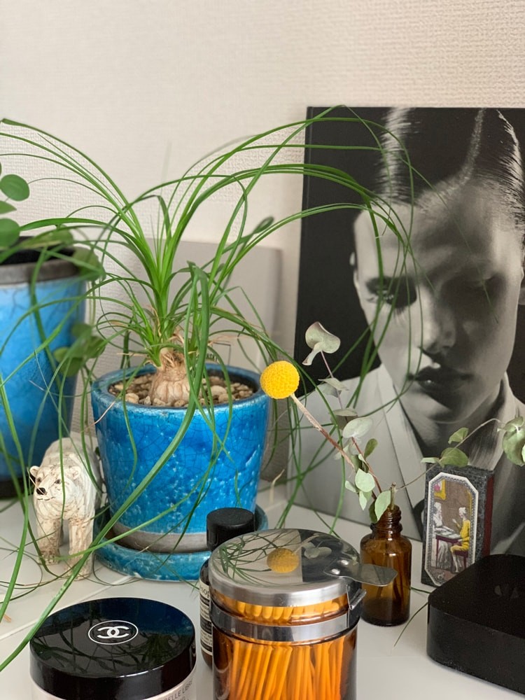 私と部屋　アッシュデザイナー - Slide:9