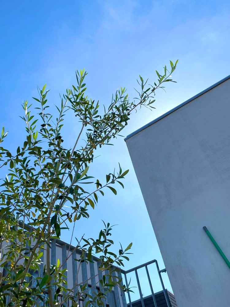 私と部屋　アート　緑　椅子 - Slide:1