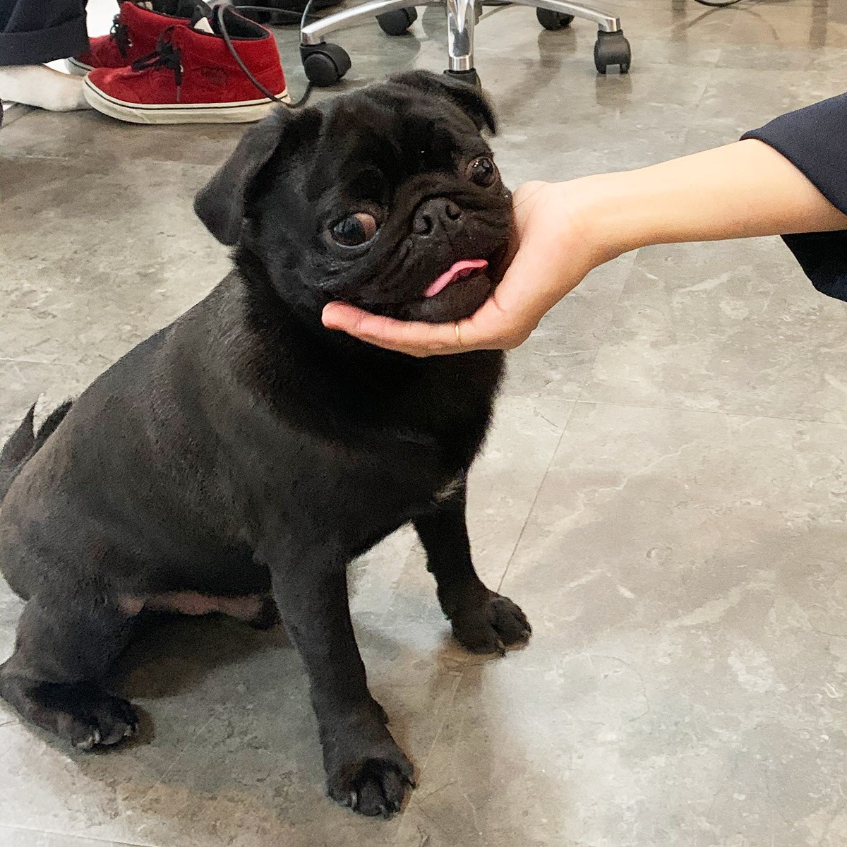 今月のGINZAアイドルに直撃! - Slide:1