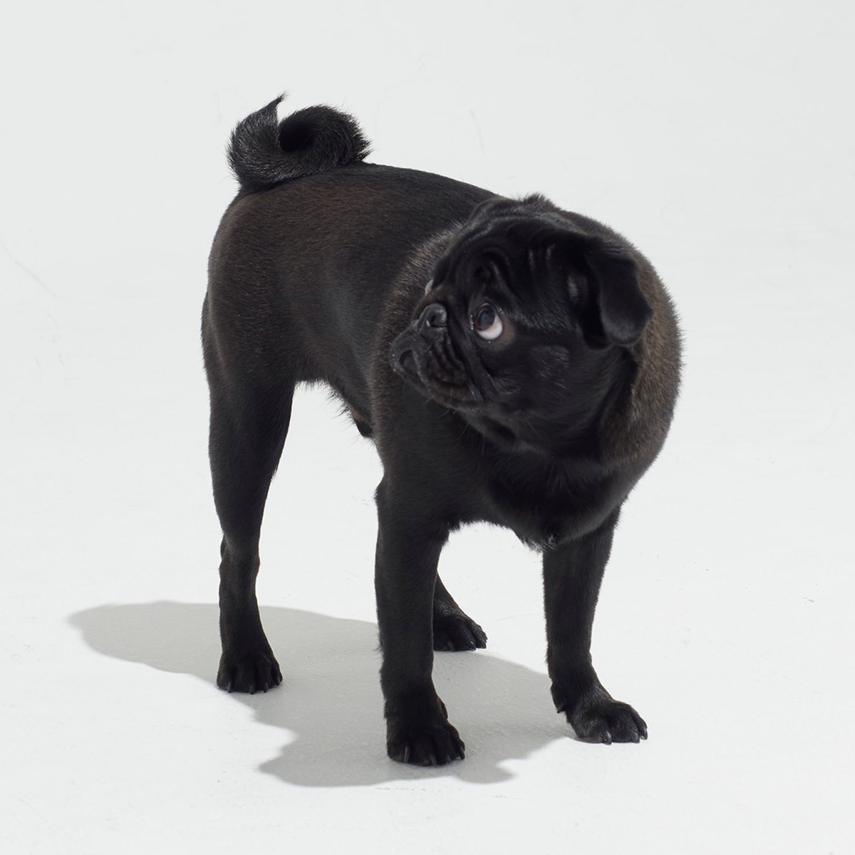 今月のGINZAアイドルに直撃! - Slide:5